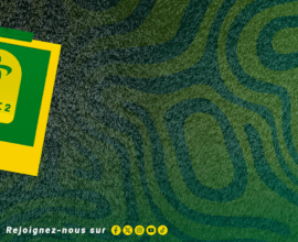 Ligue Sénégalaise de Football Professionnel